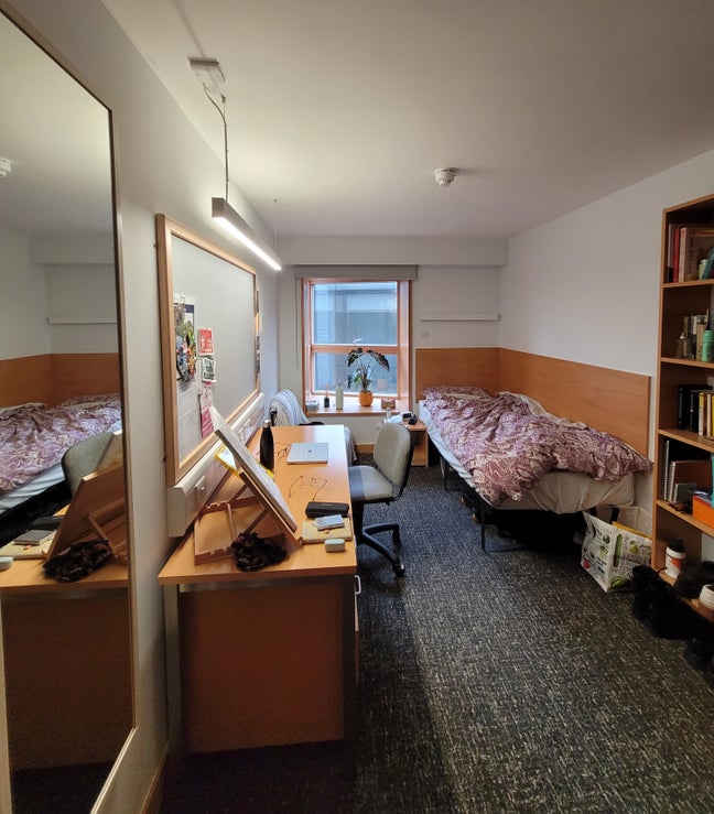 Single Room O'Shea South (postgrads only!) Main Photo