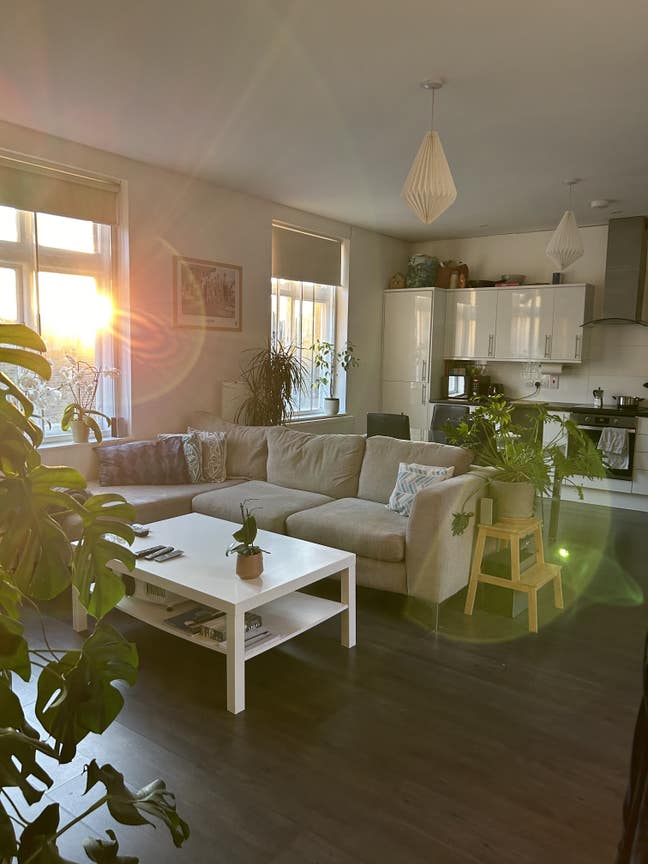 Two gorgeous double rooms available in Angel Main Photo
