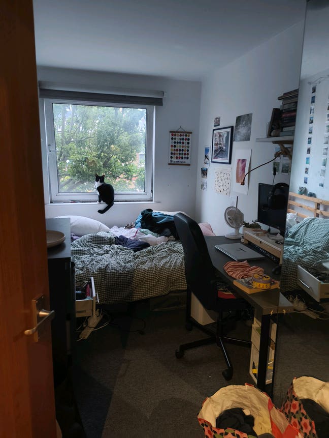 Room available in 2-bed flat in Brixton Main Photo