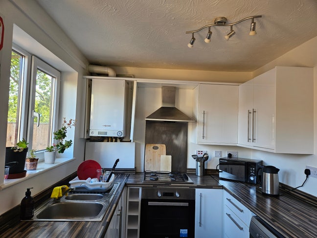 Two double rooms available immediately Main Photo
