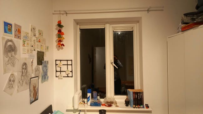 Female flatmate-suitable for Newcastle Northumbria Main Photo