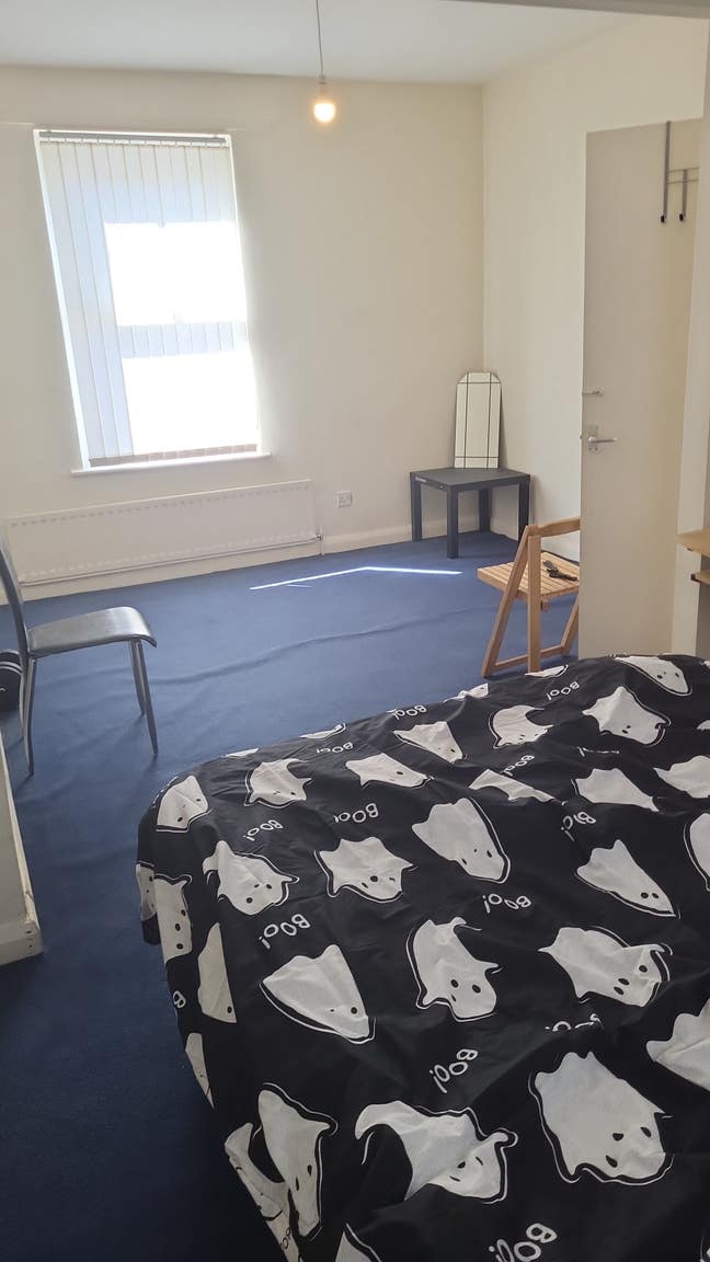 Double Room to Let-No Deposit Required Main Photo