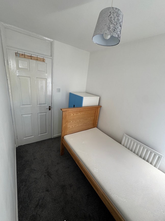 Single room for rent Main Photo