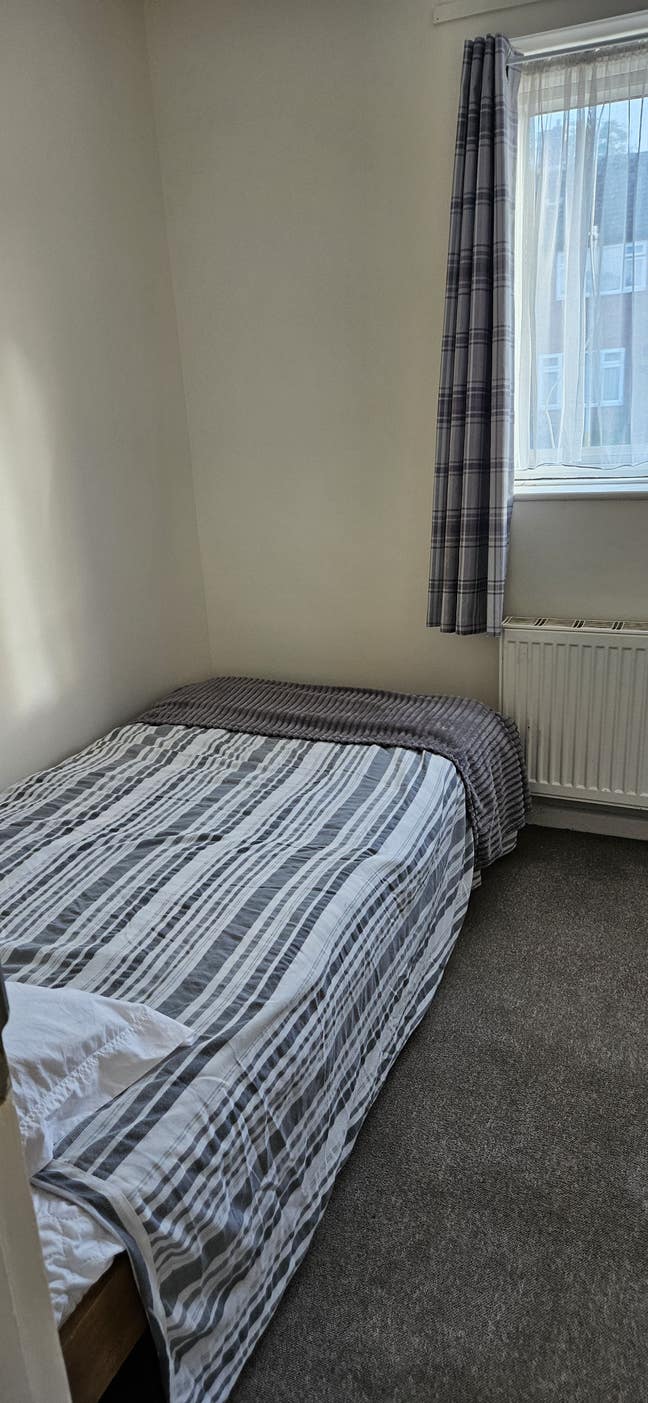Single Room Available  Main Photo