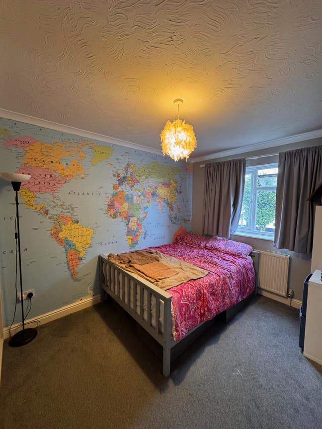 Lovely Stress Free Home with Gorgeous dog and Cat Main Photo