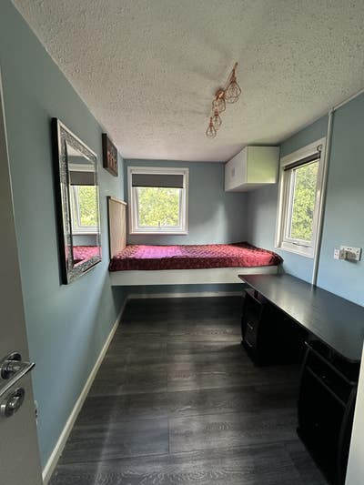 Single room to rent for vegetarian female only Main Photo