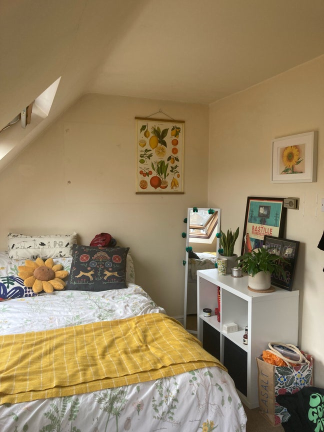 Lovely double room in Hammersmith  Main Photo