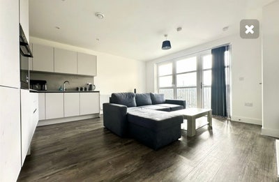 Furnished Ensuit Double room- Greenhithe  Main Photo