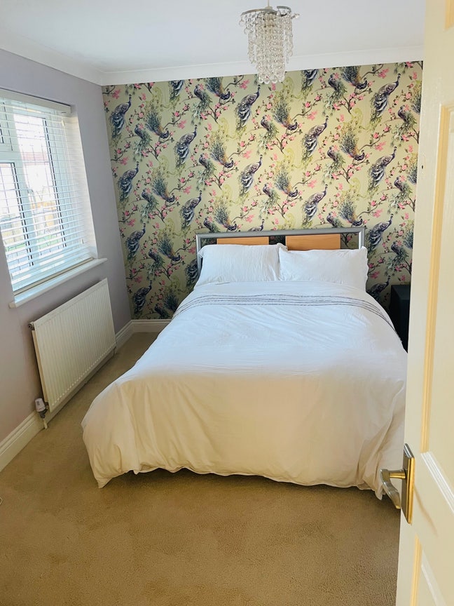 Double room in a large 4 bedroom house  Main Photo