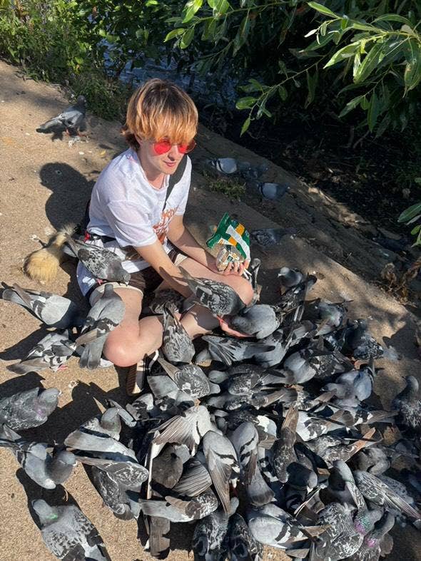 looking for a room in nailsea area Main Photo