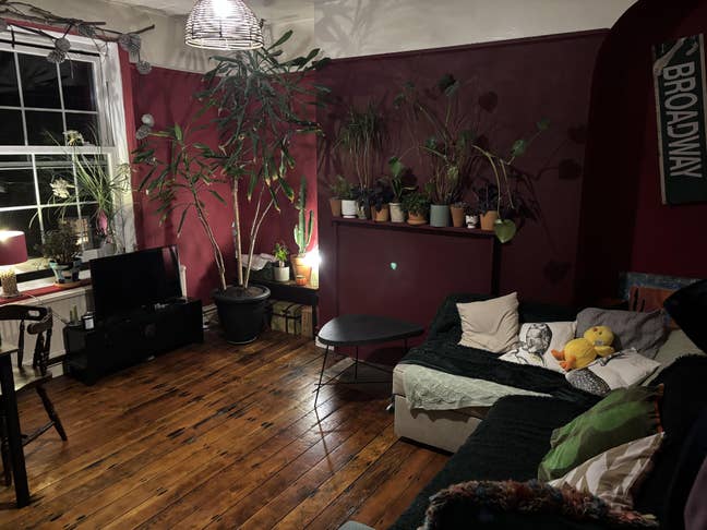 Room to rent in Brixton Hill Main Photo