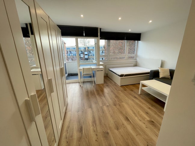 Beautiful xl  en-suite with balcony for rent  SE1  Main Photo