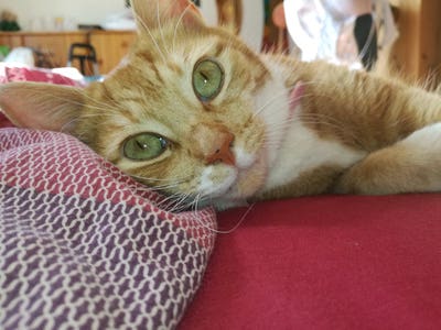 Student looking for place to stay Main Photo