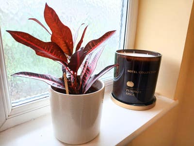 Amazing Room to Rent | Central Bracknell  Main Photo