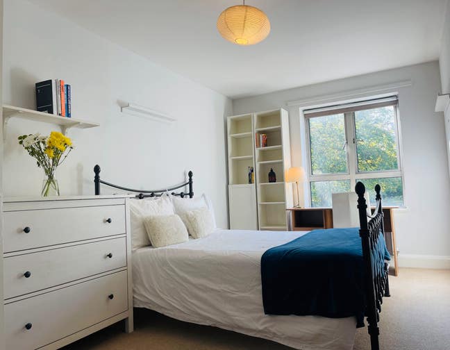 Bright Spacious Double Room in 2-Bed Brixton Flat Main Photo