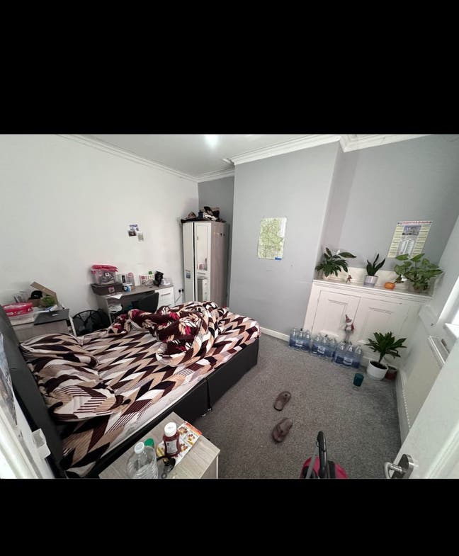 Room for rent 350 including everything Main Photo