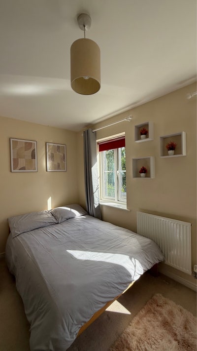 Double room for single occupant Main Photo