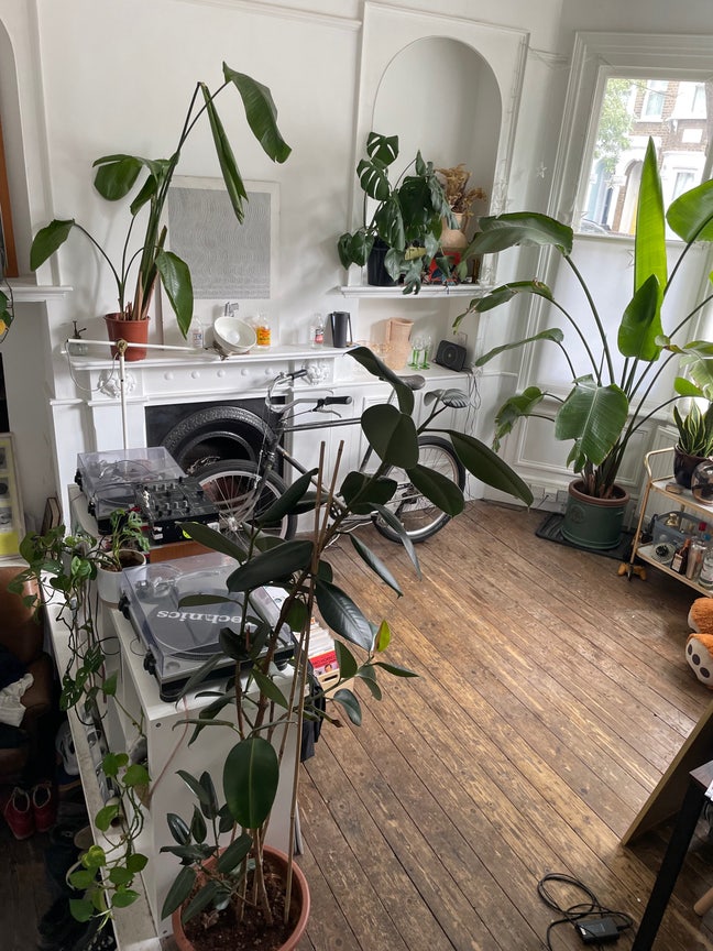 Large Room Stoke Newington  Main Photo