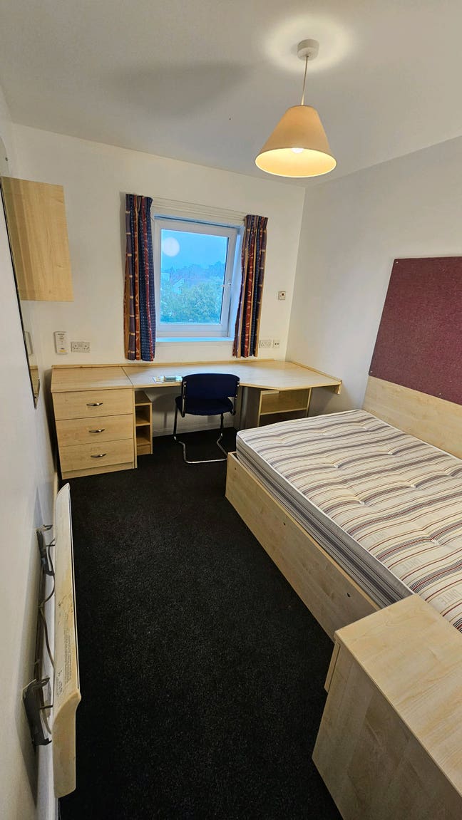 En-suite Room at Clodien House (Unite Students) Main Photo