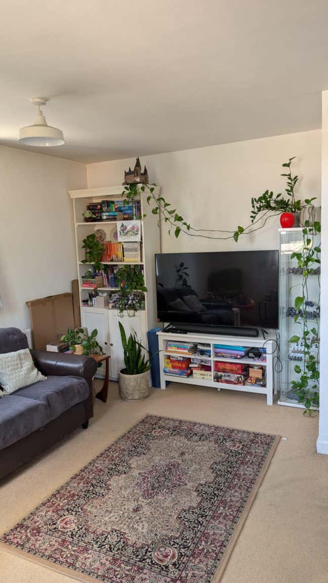 Bright Double Room in Putney Main Photo