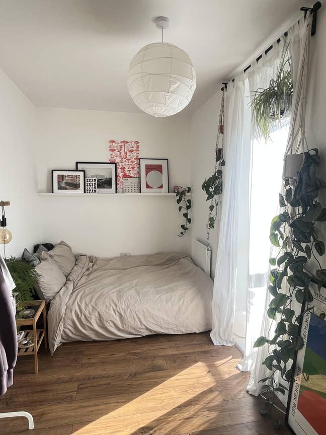 Double room in homely Upper Clapton flat! Main Photo