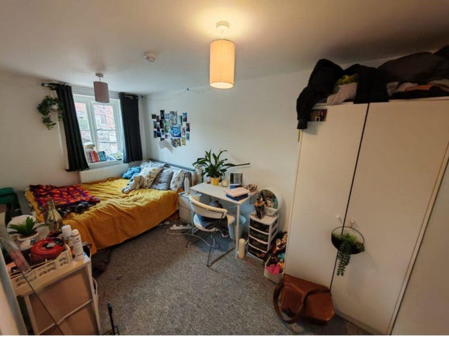 Student wanted asap! Main Photo