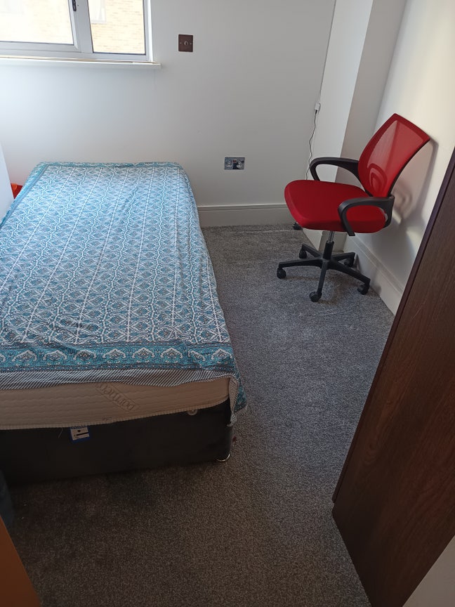1 single room to let  Main Photo