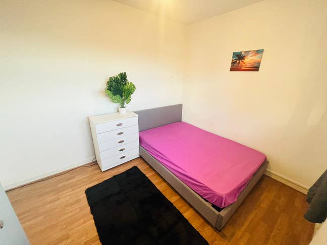 Spacious Double Room near Battersea Main Photo