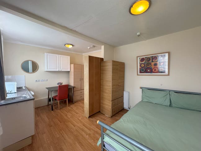Large Bedsit, Full Kitchen, Ensuite Shower in SW3 Main Photo