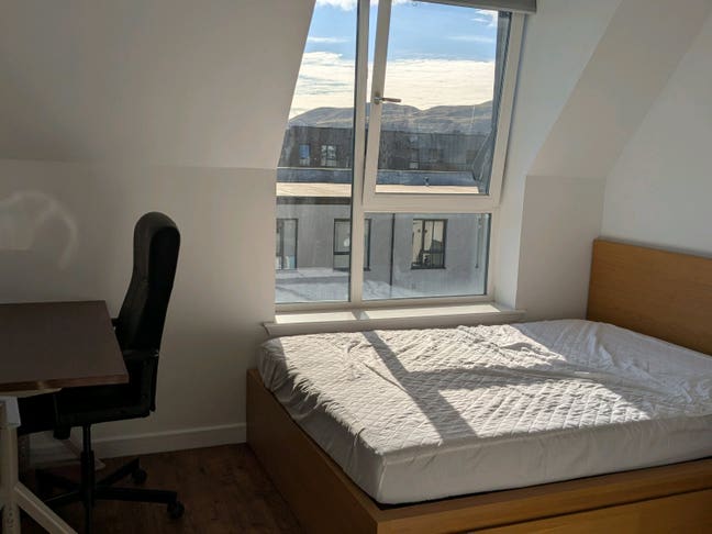 Room available  1st October  Main Photo