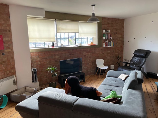 Bright medium room in friendly flatshare ☀️ Main Photo