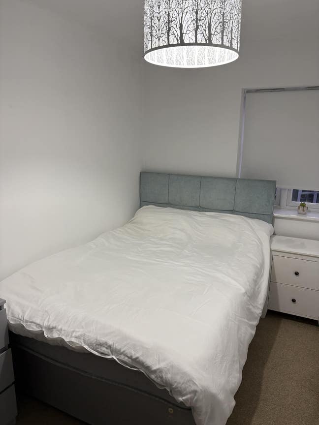 Room to let  Main Photo
