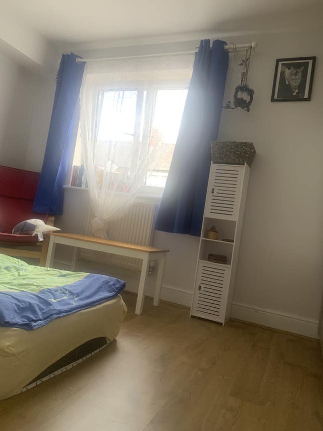 Room in household with 3 cats close to university  Main Photo