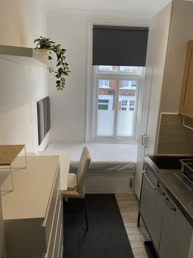 Single Studio Lime Grove 67 Rental  Main Photo