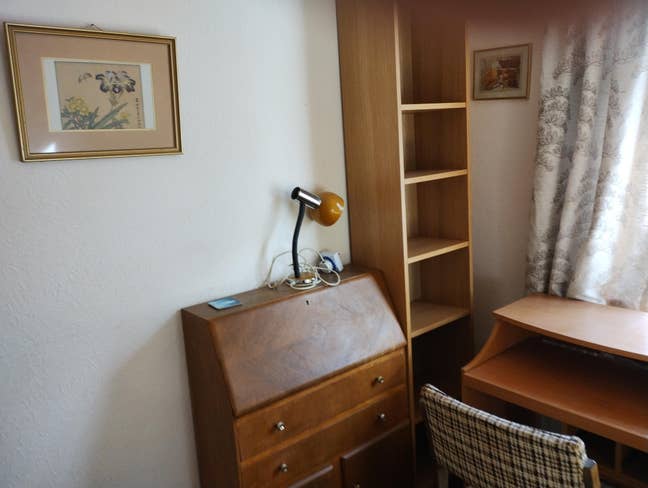 Sunny spacious fully furnished room Main Photo