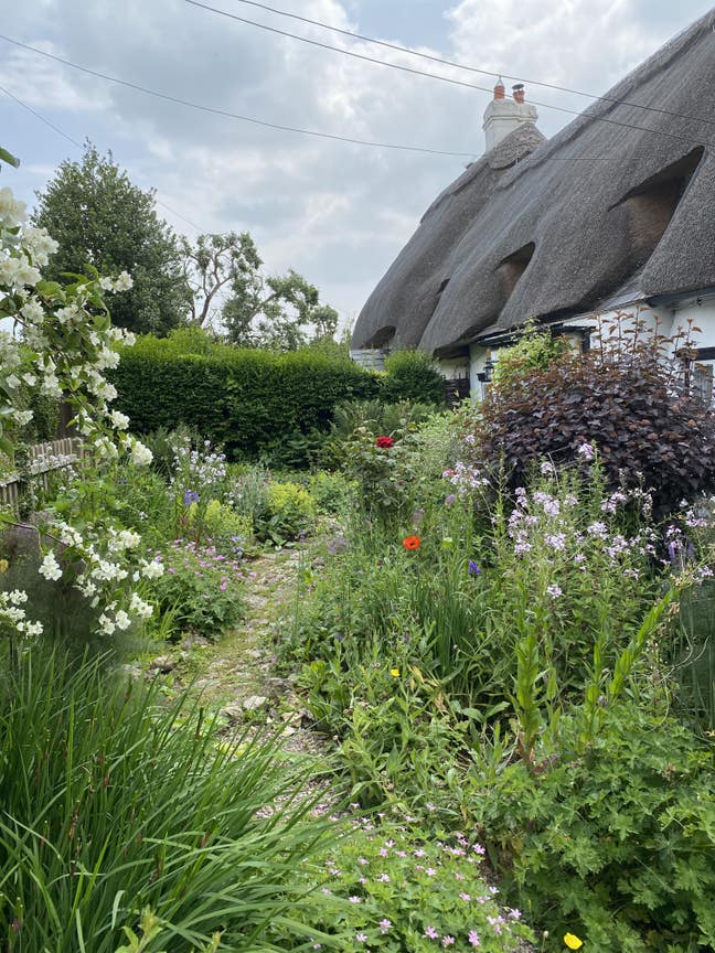A charming room in a historic cottage Main Photo