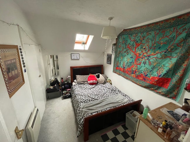 Double room in Homely Flat  Main Photo