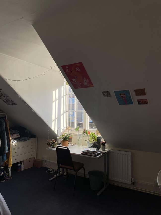 Bright room in spacious cosy house with garden Main Photo