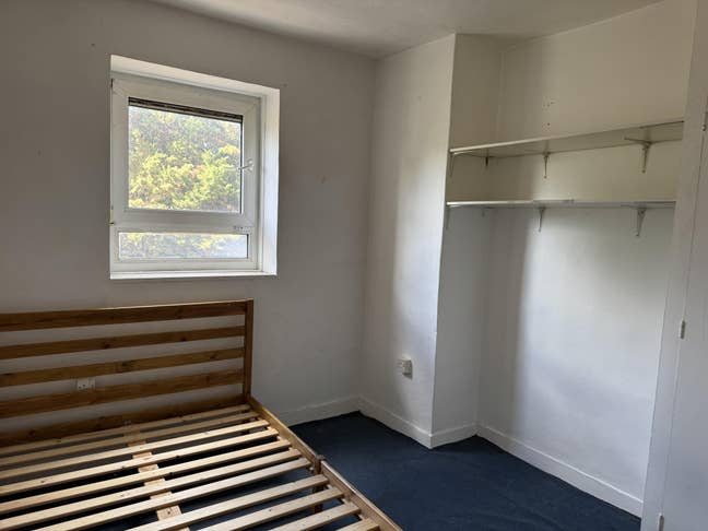 Room in Flat – Chalk Farm Main Photo