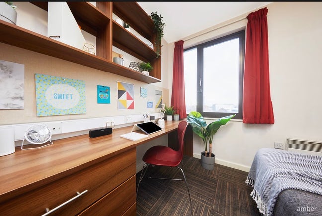 Baggot street student accommodation  Main Photo