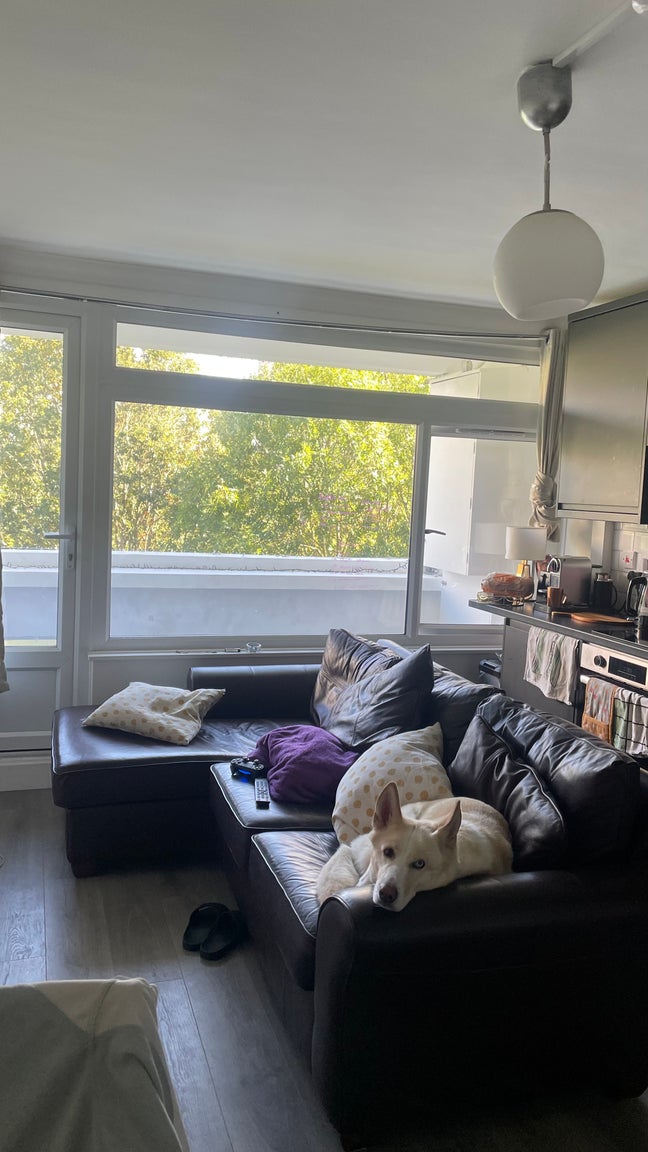 Single room in a newly refurbished flat!  Main Photo