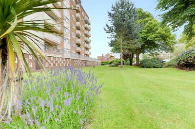 Spacious 1 bed newly renovated  Main Photo