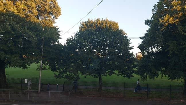 Cardiff bay/Grangetown  Main Photo
