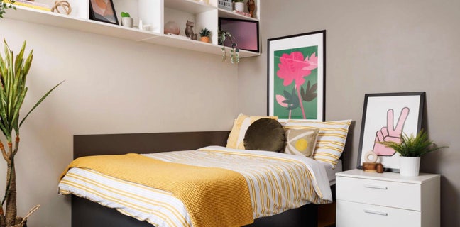 Student Room in Friendly Flat. Main Photo