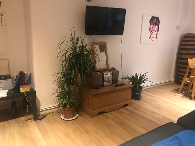 Bright double room, friendly house,Shepherd's Bush Main Photo