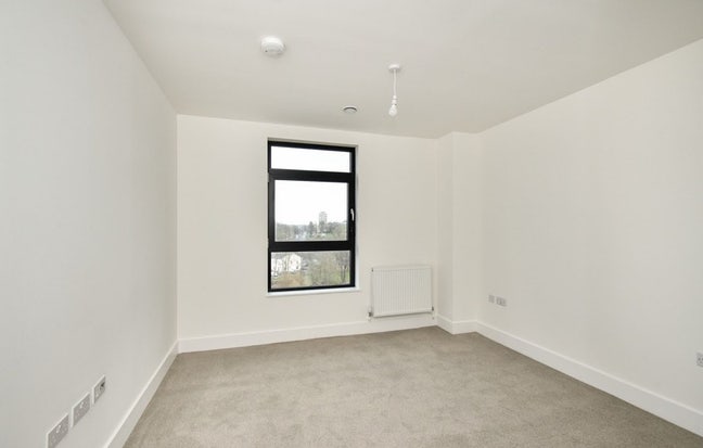 Lovely single room  Main Photo