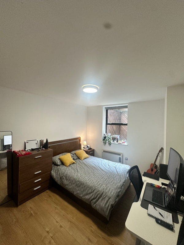 Large En-suite Double Room - Zone 1 (E1) Main Photo