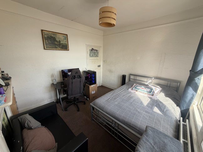 Sunny & Spacious Room in Friendly Palmer Main Photo