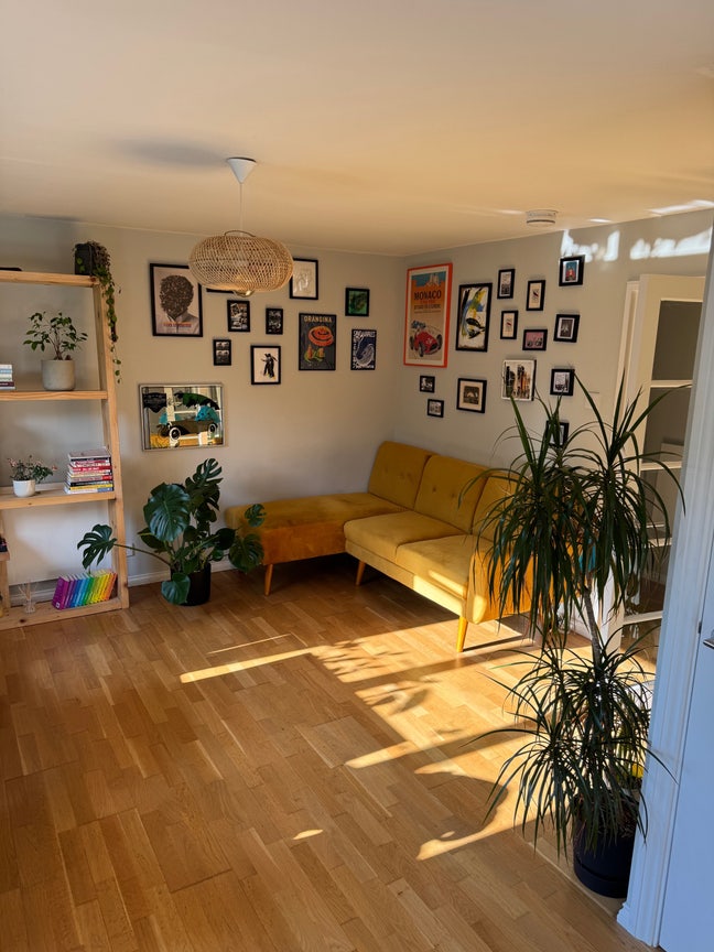 Cozy Single Bed Room - London / South Bermondsey Main Photo