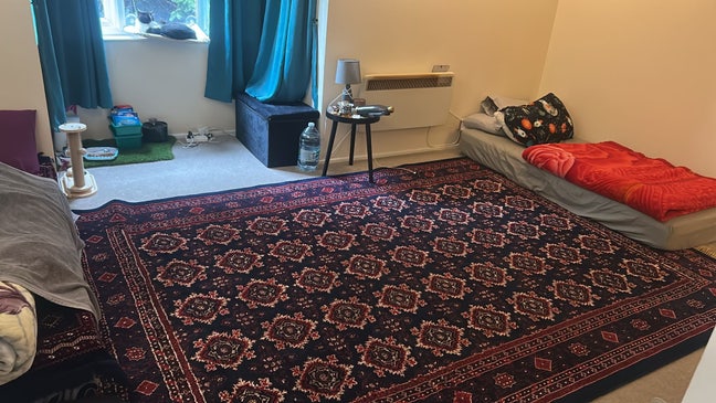 Studio flat /shared room  Main Photo